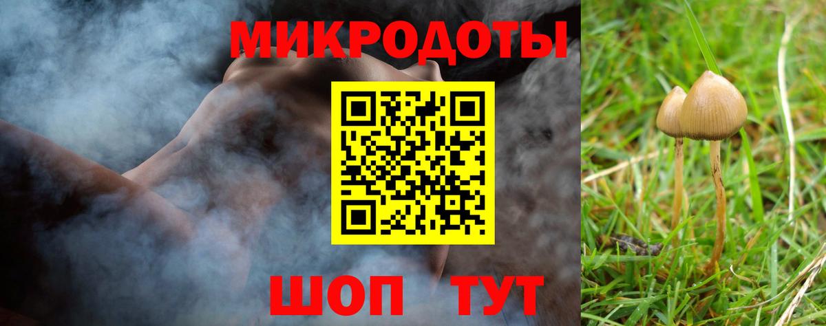 Калининград  Галлюциногенные грибы Psilocybine cubensis  Вход с VPN 