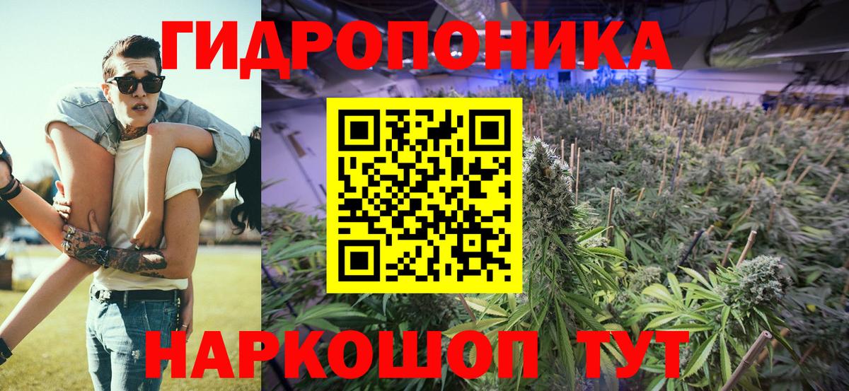 Калининград  МАРИХУАНА OG Kush  Вход с VPN  Марихуана планчик  Каннабис сатива  МАРИХУАНА ГИДРОПОН 